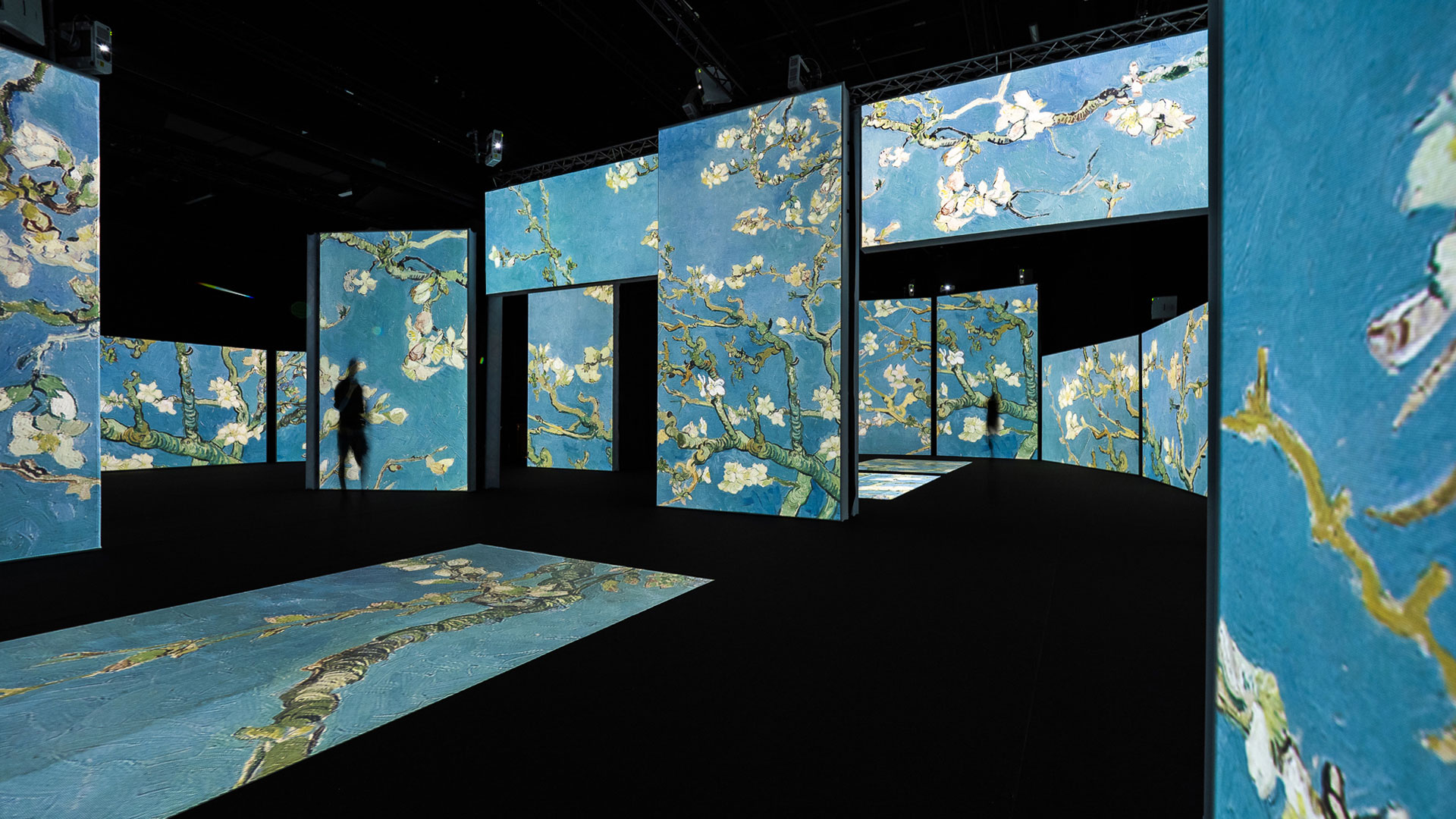 Van Gogh Alive exhibition rolls into Sydney for 2020