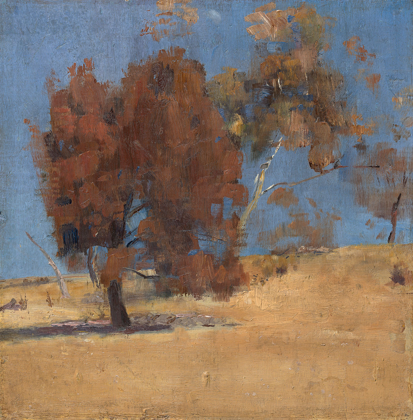 She-Oak and Sunlight at the NGV includes work by Tom Roberts.