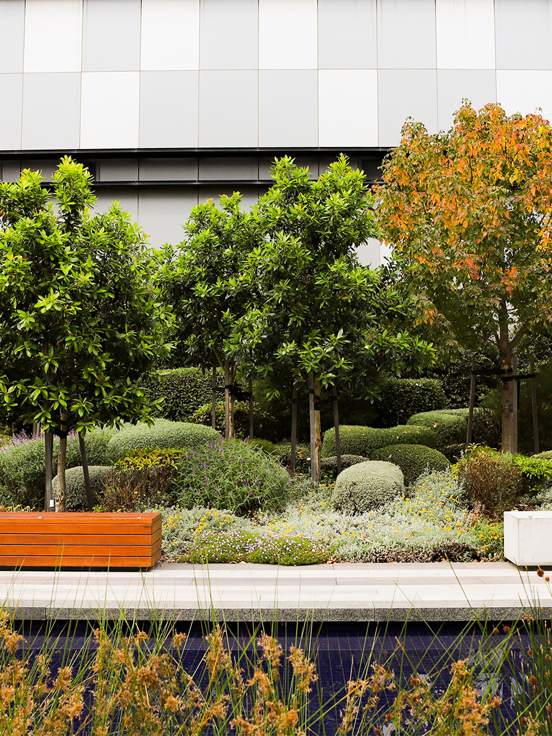 Victoria's best gardens and landscapes have been announced by the AILA. 